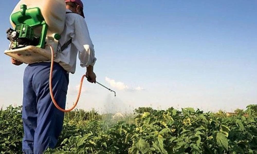 Πέλλα: Εξαρθρώθηκε σπείρα η που διακινούσε πλαστά φυτοφάρμακα